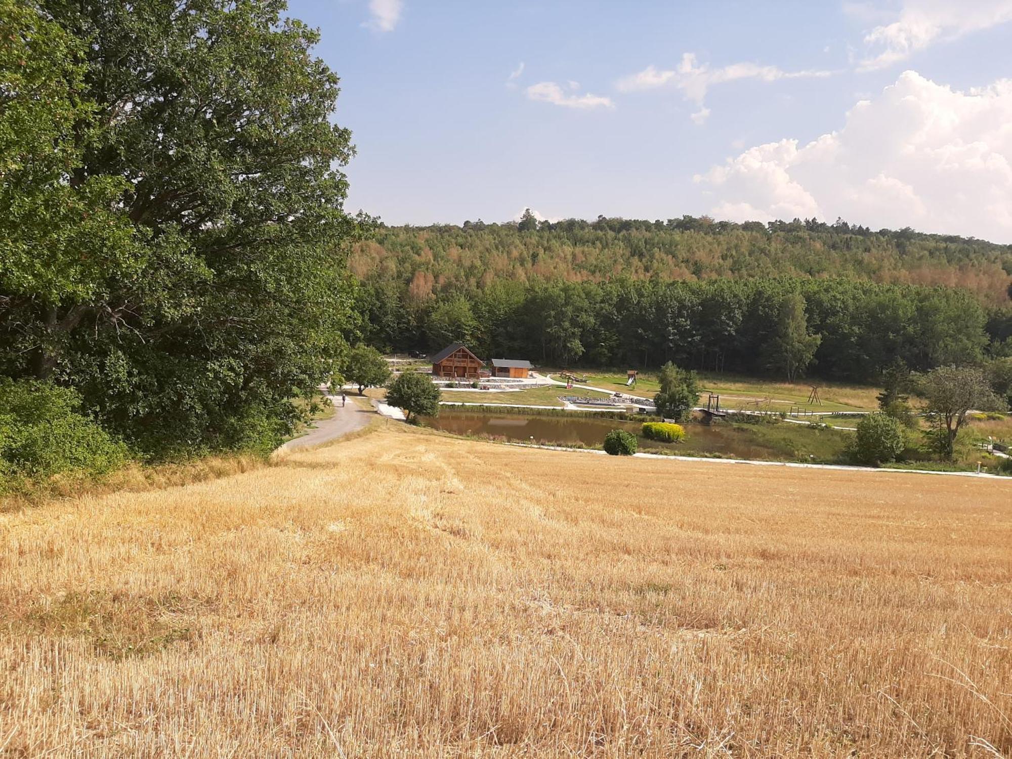 Residenz Moselstausee Санкт Алдегунд Екстериор снимка