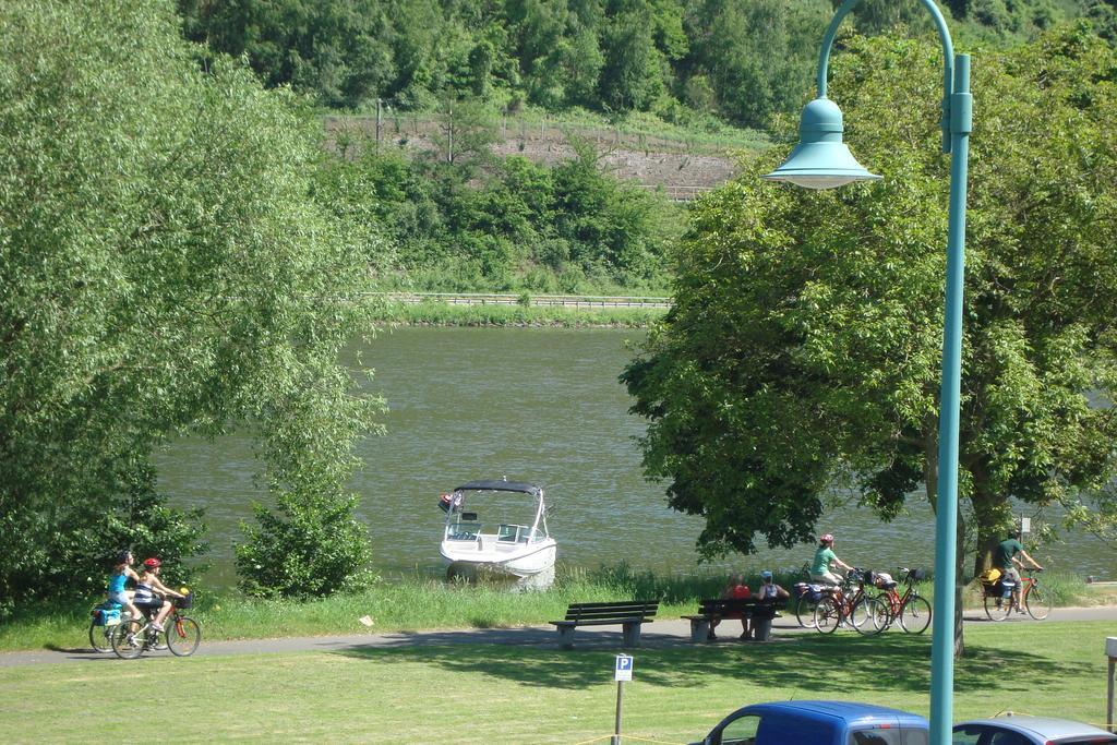 Residenz Moselstausee Санкт Алдегунд Екстериор снимка